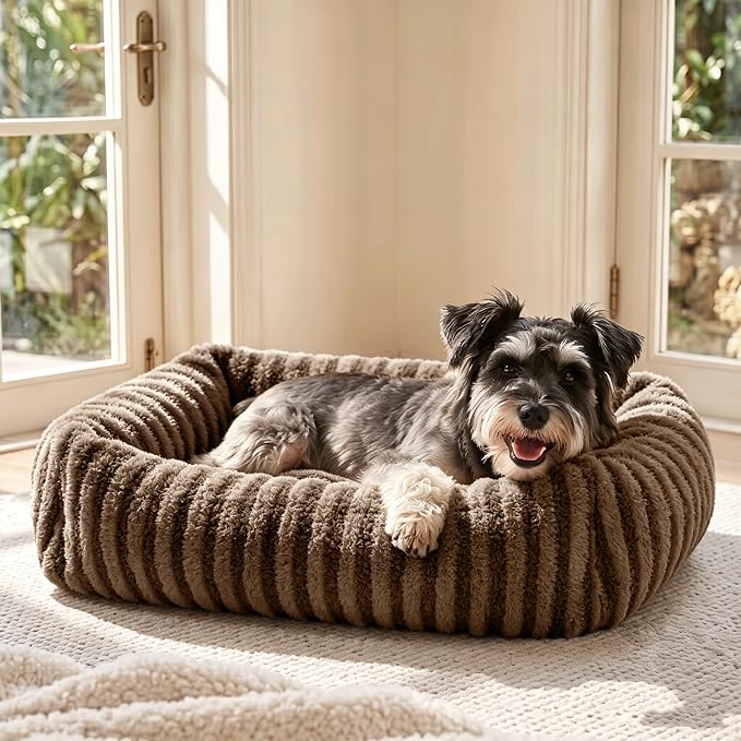White Plush Pet Sofa Bed with Removable Cover for Small Dogs and Cats