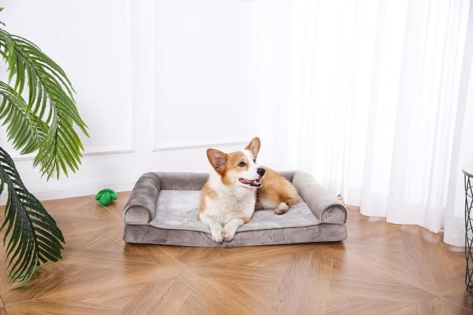 Large Orthopedic Foam Dog Bed with U-Shaped Bolsters – 36 × 27 Inches
